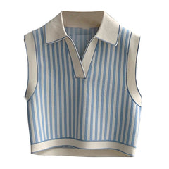 Striped Short Knitted Vest + A-Line Skirt