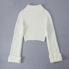 Turtleneck Slim Fit Long Sleeved Solid Knitted Sweater