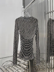 Classic Polka Dot Mesh Long Sleeved Dress