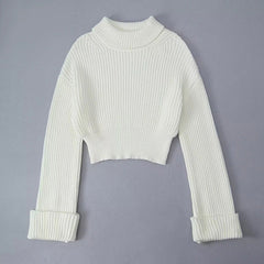 Turtleneck Slim Fit Long Sleeved Solid Knitted Sweater