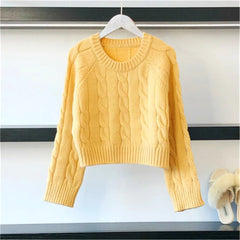 Solid Casual Crop Knitted Sweater