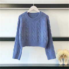 Solid Casual Crop Knitted Sweater