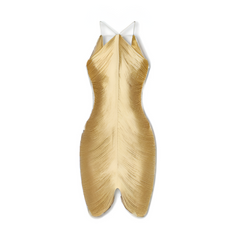 Metallic Fringe Neckline Sleeveless Backless Dress