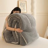 New Soft Solid Color Bean Down Quilt Plush and Thick Winter Quilt Warm Quilt Core Air Conditioning Quilt Dormitory Quilt