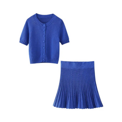 Short Sleeved Knitted Top + Pleated Skirt