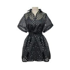 Dotted Mesh Two-Piece Dress