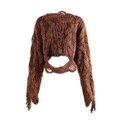Tassel Distressed Hollow Knitted Sweater