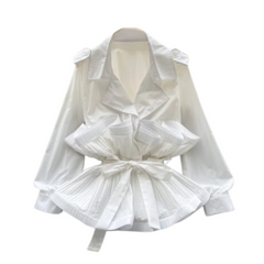 Solid V-Neck Pleated Long Sleeve Top