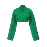 Green Long Sleeve Cropped Shirt