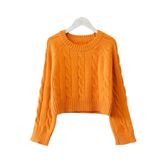 Solid Casual Crop Knitted Sweater