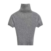 Turtleneck Short Sleeves Knit Top
