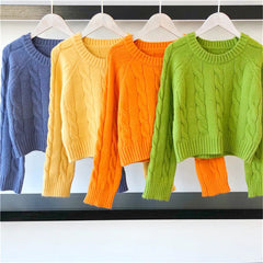Solid Casual Crop Knitted Sweater