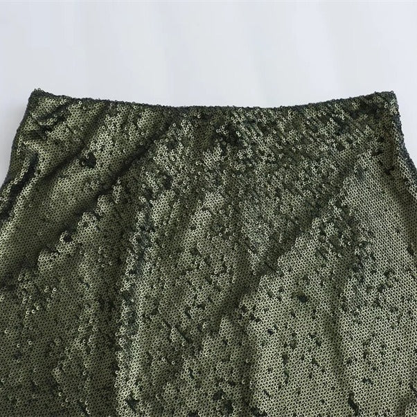 Sequin Embellished A-line Hip-Hugging Skirt
