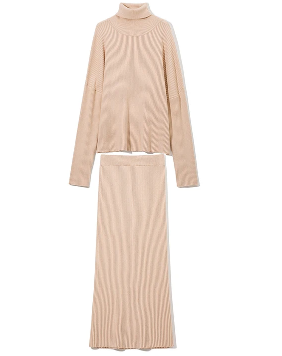 Solid Turtleneck Sweater + Skirt