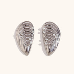 Shell Mussel Stainless Steel Earrings