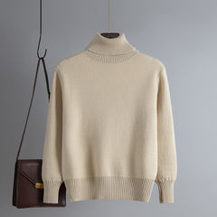 Velvet Thick Solid Knitted Sweater
