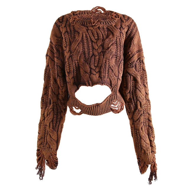 Tassel Distressed Hollow Knitted Sweater