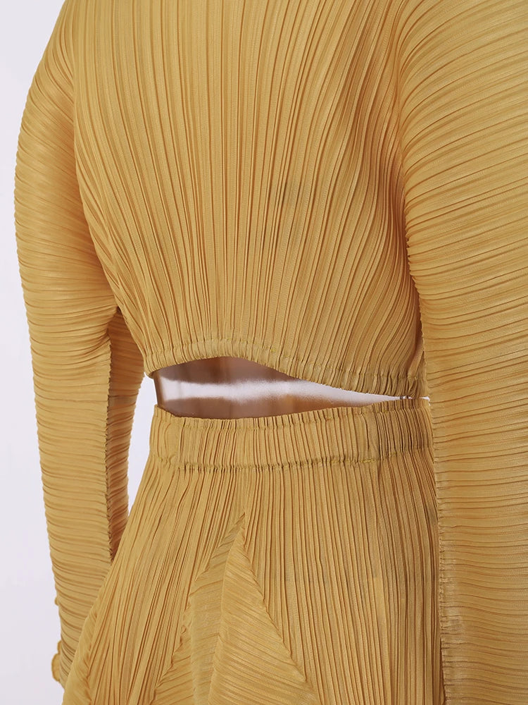 Pleated Short Top+ Pants Set