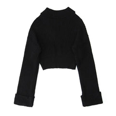 Turtleneck Slim Fit Long Sleeved Solid Knitted Sweater