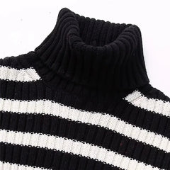 Turtleneck Distressed Knit Cropped Sweater