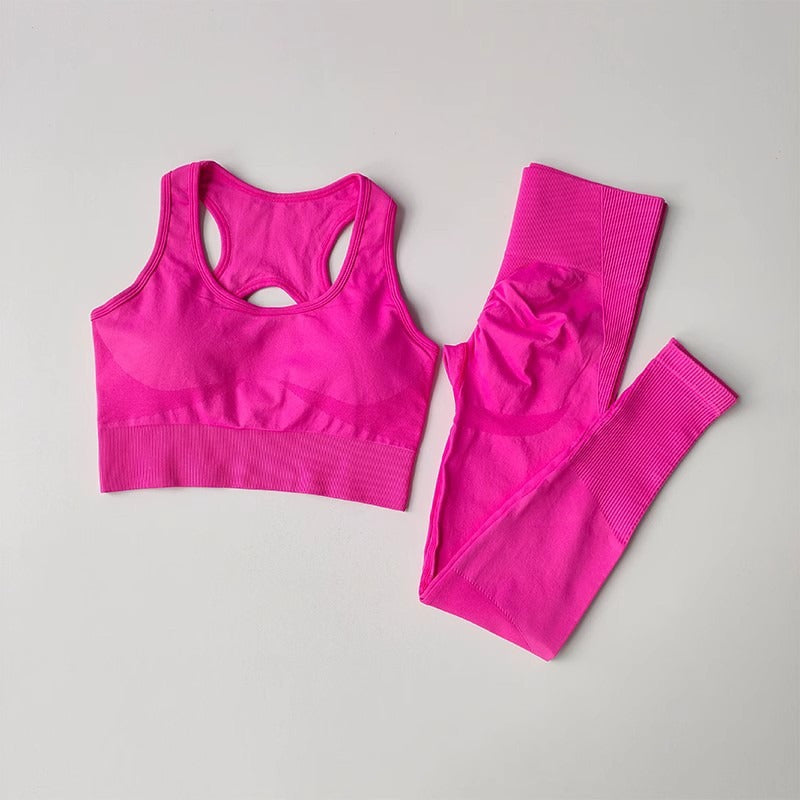 Seamless Yoga Top + Pants Set