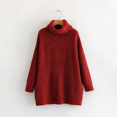 Turtle Neck Solid Knitted Long Sleeves Dress Sweater