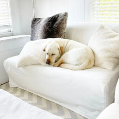 Cozy Teddy Faux Fur Cushion Cover, Plush Pillow Cover for Sofa, Living Room Decorative, Nordic Home Decor, 45*45