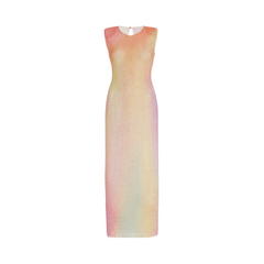 Sparkly Semi Sheer Midi Dress