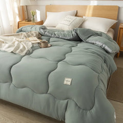 Pure Color Simple Washed Cotton Quilt Winter Quilt Core Thickened Warm Quilt Single and Double Spring and Autumn Quilt