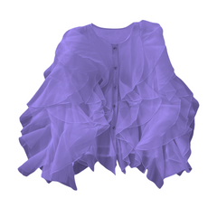 Ruffled Long Sleeve Loose Casual Blouse Top