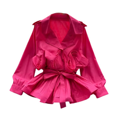 Solid V-Neck Pleated Long Sleeve Top