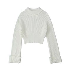 Turtleneck Slim Fit Long Sleeved Solid Knitted Sweater