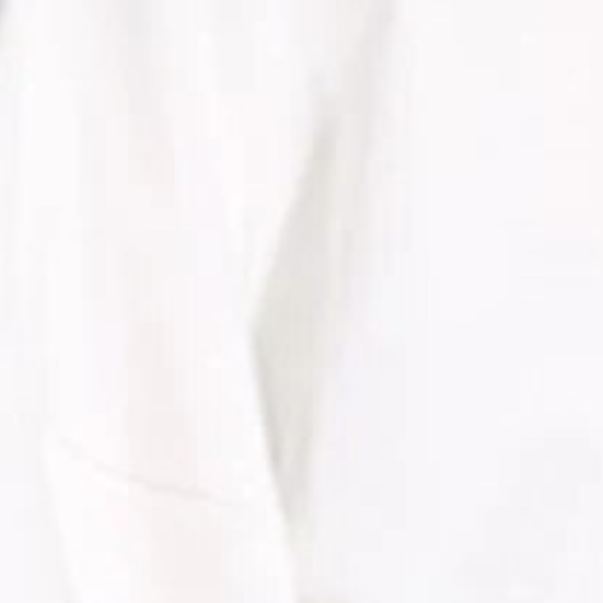 Pre Order:  Back Bowknot Round Collar Sweatshirt