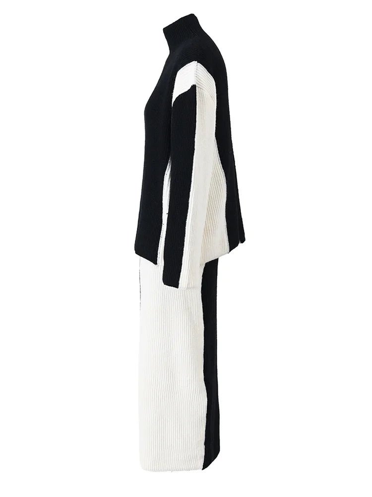 Contrast Sweater+Skirt Knit Set