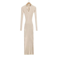 Earth Tones Bodycon Knit Dress