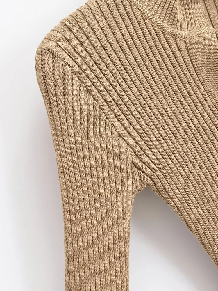 Earth Tones Bodycon Knit Dress