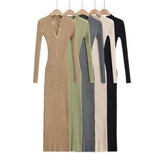 Earth Tones Bodycon Knit Dress