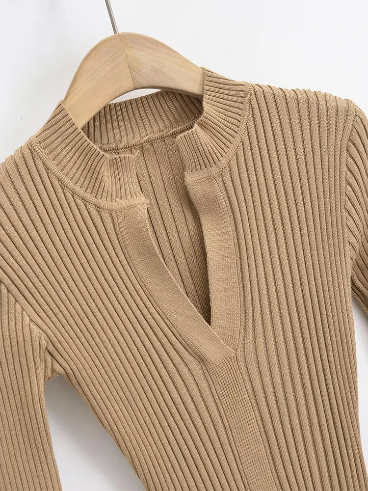 Earth Tones Bodycon Knit Dress