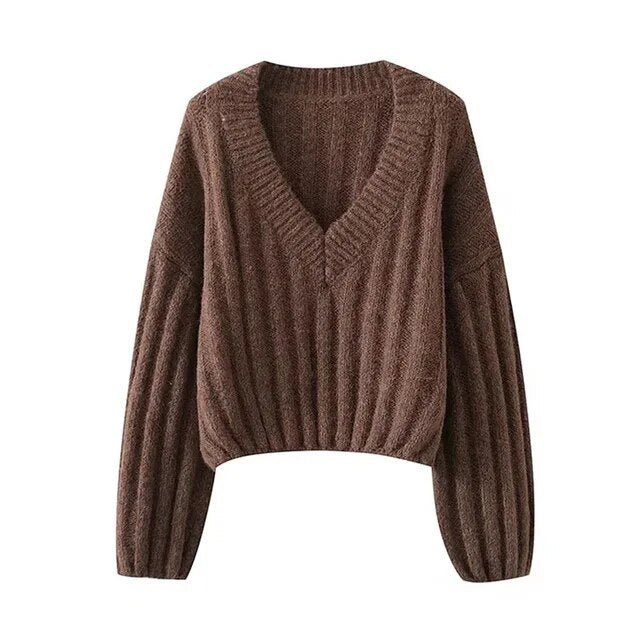 Earth Tones V-Neck Knit Sweater