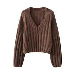 Earth Tones V-Neck Knit Sweater