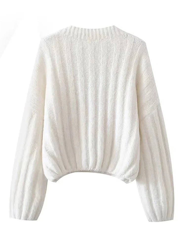 Earth Tones V-Neck Knit Sweater