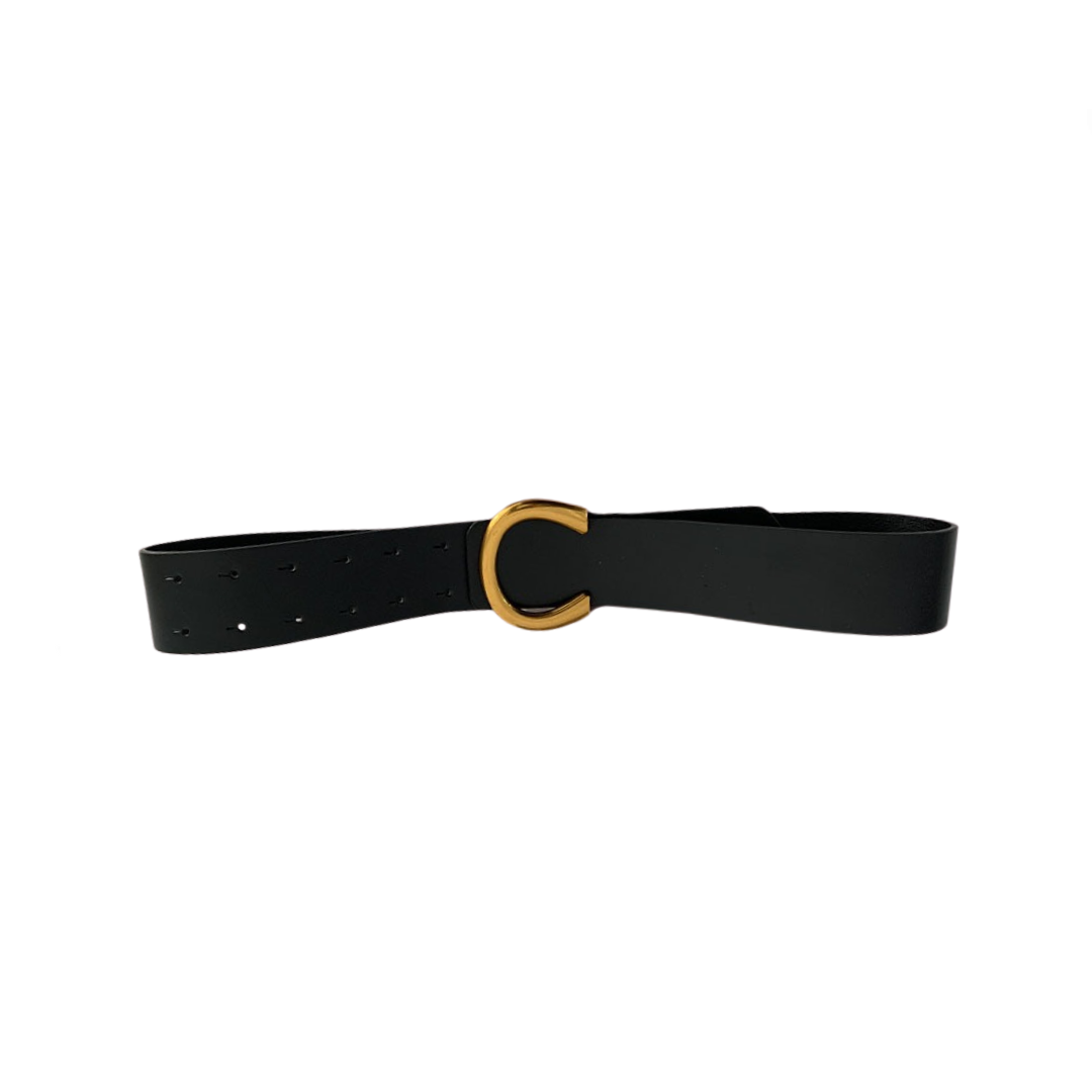 Wide Buckle Belt