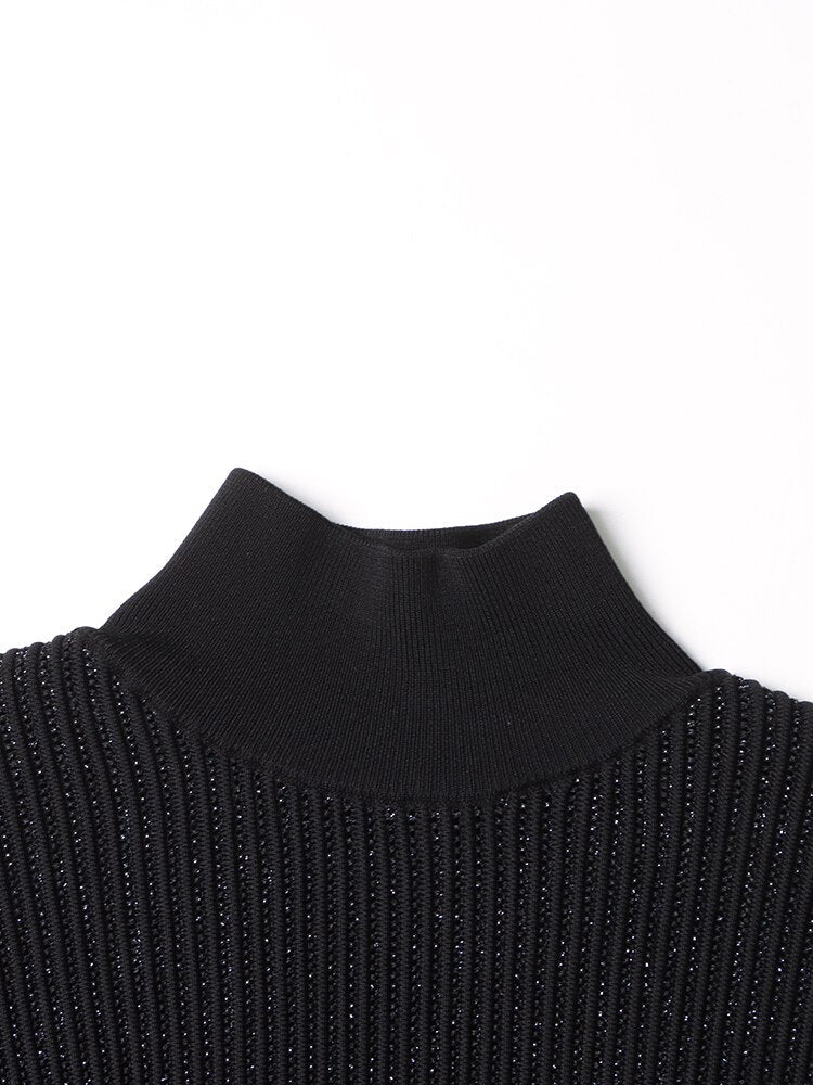 Semi-sheer Turtleneck Knit Sweater