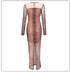 Trendy Mesh Bodycon Party Dress