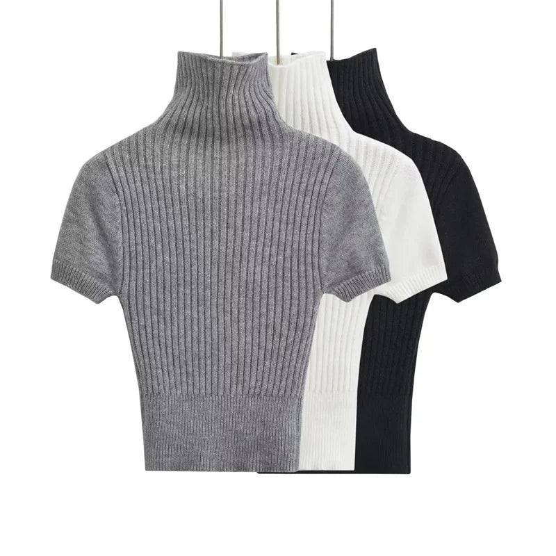Turtleneck Short Sleeves Knit Top