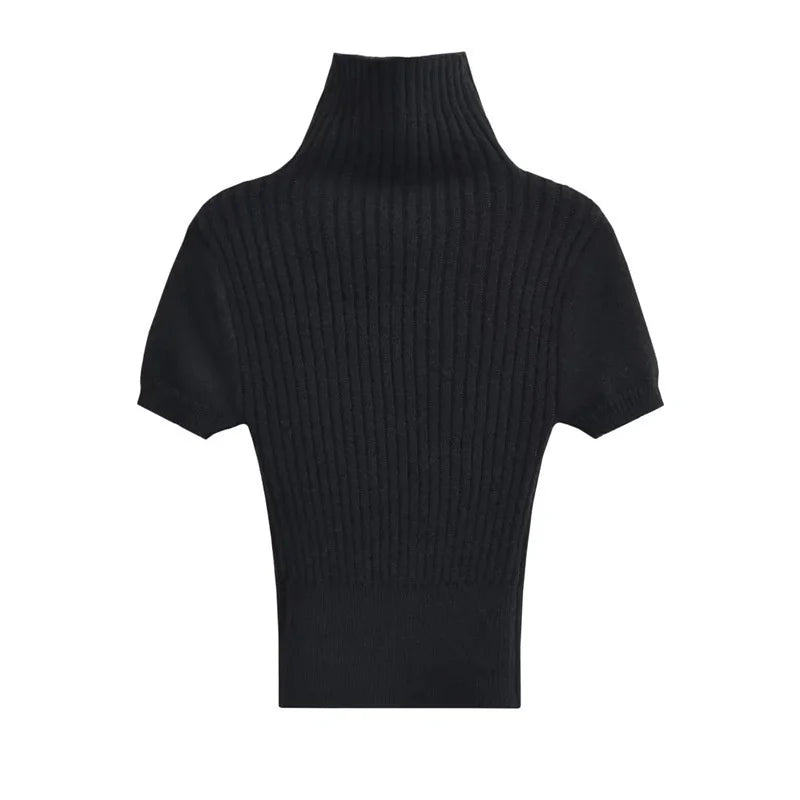 Turtleneck Short Sleeves Knit Top