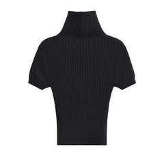 Turtleneck Short Sleeves Knit Top