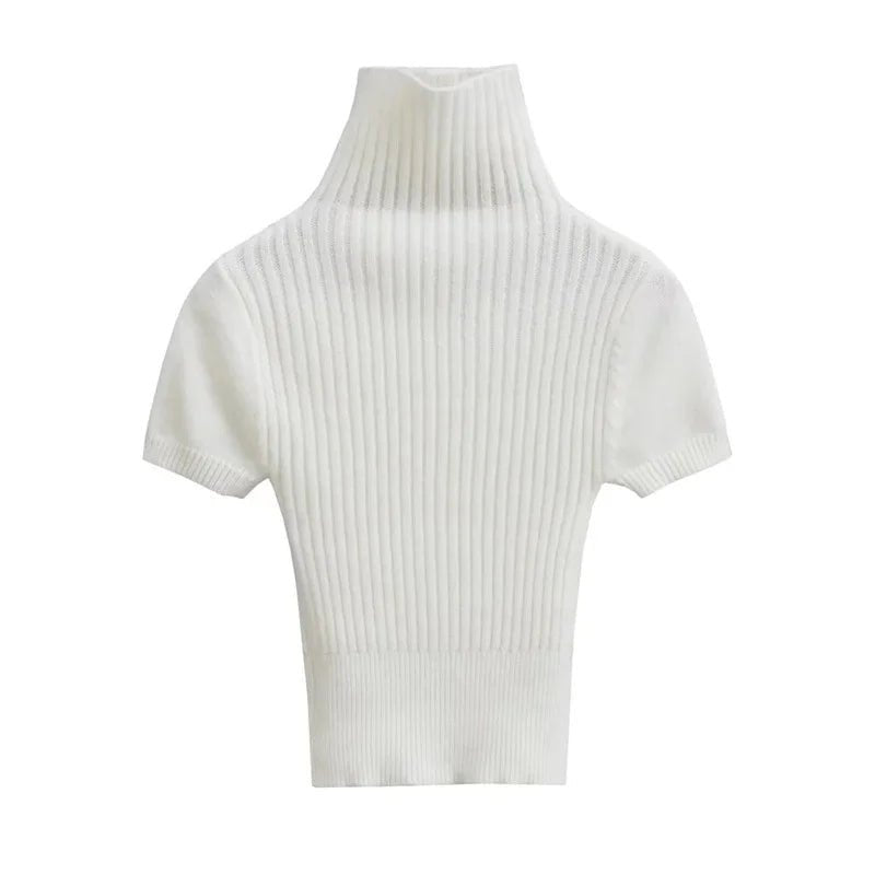 Turtleneck Short Sleeves Knit Top