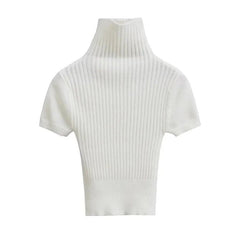 Turtleneck Short Sleeves Knit Top