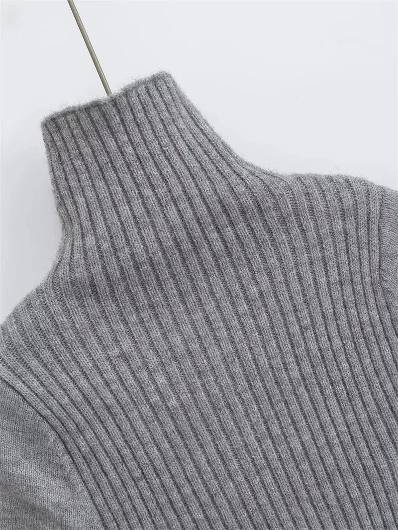 Turtleneck Short Sleeves Knit Top